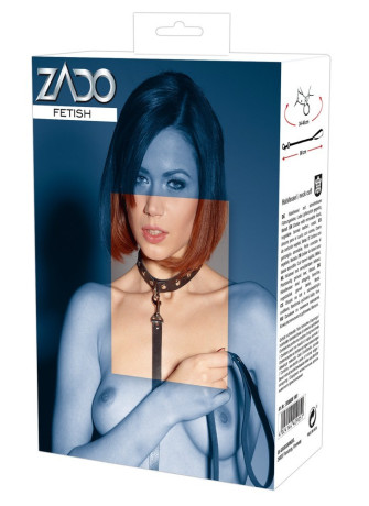 Collar with Leash